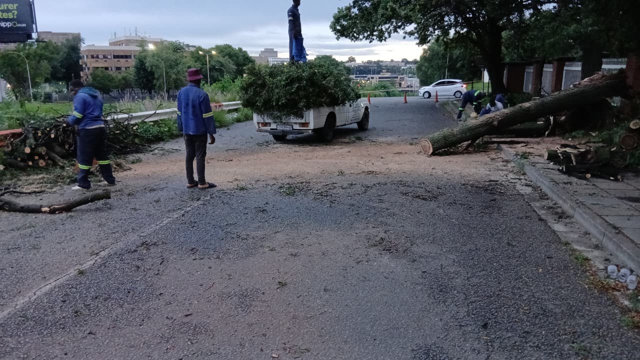 Forest Clearance