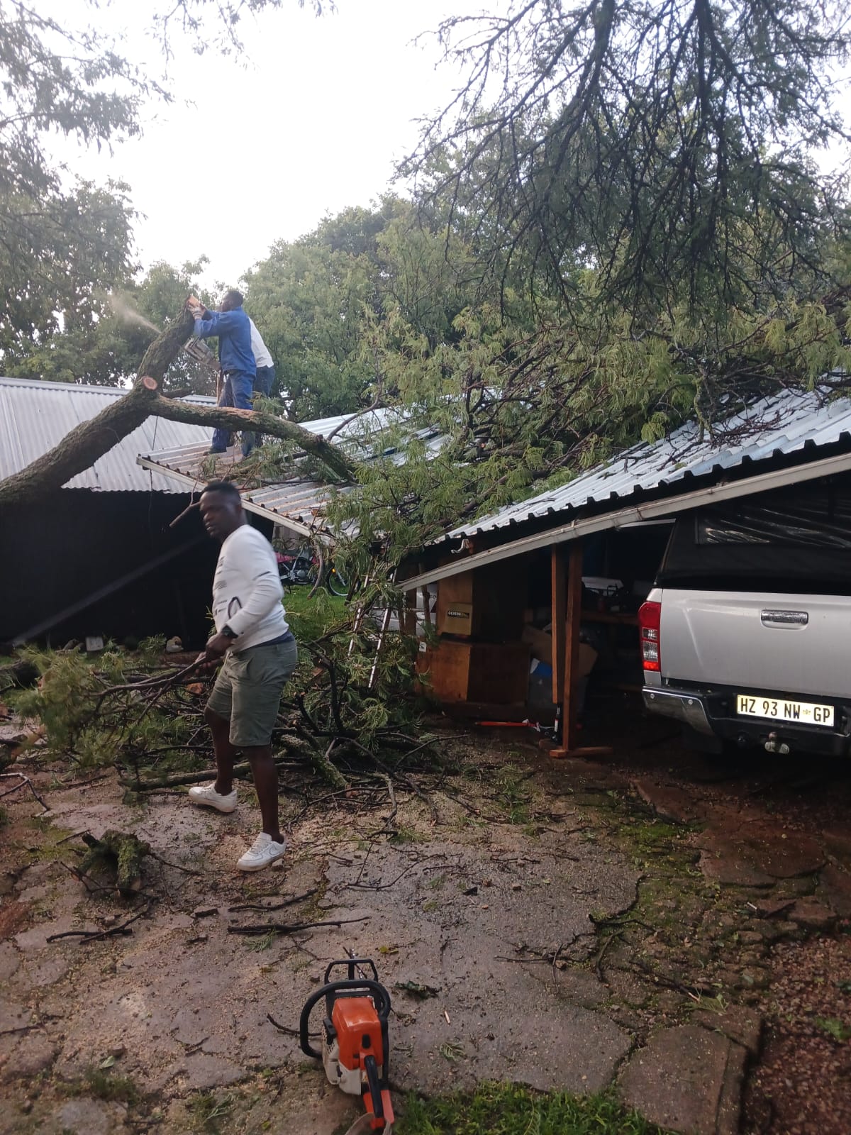 Emergency tree on roof removed